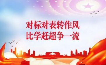 安排对标工作总结8篇