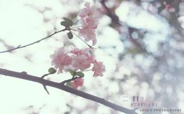 十二月的工作计划推荐6篇