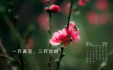 小班十二月份工作计划5篇