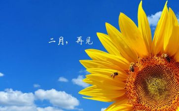 二月班主任工作总结7篇