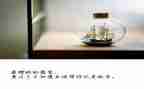 关于的放飞梦想演讲稿优秀8篇