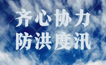 防洪心得体会8篇