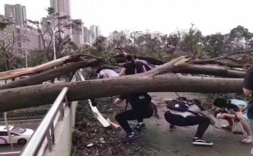 安全防台风教案8篇