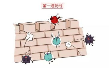 消除事故隐患筑牢安全防线心得体会7篇