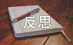 7个人总结反思与总结精选5篇