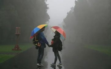 风雨中教案5篇