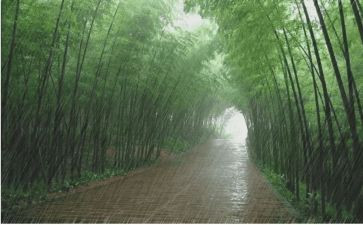 风雨哈佛路观后感600字观后感6篇