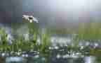 一路风雨一路成长作文5篇