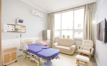 妇保健工作计划模板8篇