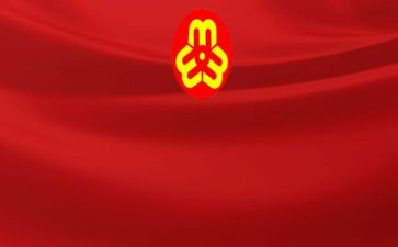 村妇联半年工作总结6篇