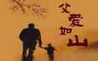 感恩父亲的作文800字6篇