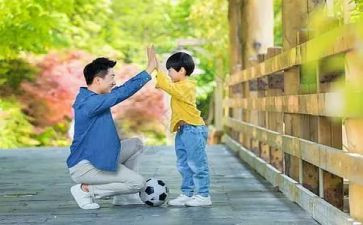 父与子观后感400字5篇