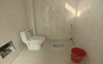 改厕工作工作总结参考6篇