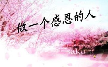 关于感恩演讲稿范文通用8篇