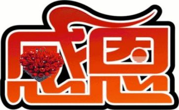 感恩教师教师演讲稿参考8篇