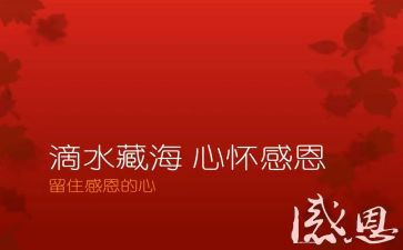感恩的心公司演讲稿优秀5篇