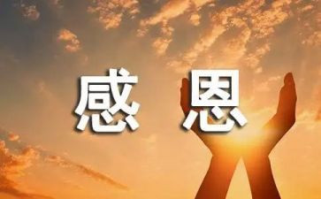 教师感恩节活动总结8篇