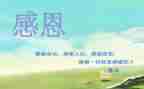 与感恩有关的作文通用8篇
