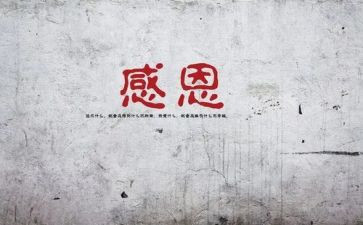 我感谢您作文400字7篇