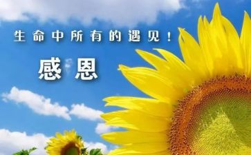 我感谢您作文300字通用6篇