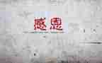 我感谢您作文400字7篇