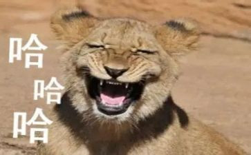 爱搞笑的他作文通用7篇
