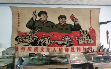 革命辛亥观后感优质5篇
