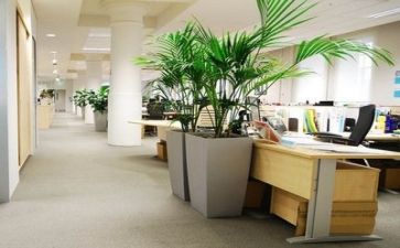 大公司工作心得体会范文7篇