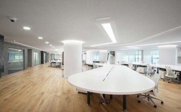 公司技术工作计划8篇