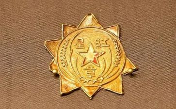 功勋观后感优质8篇