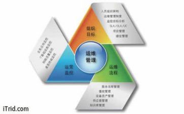 管理专业工作总结7篇