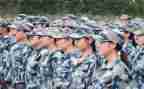 观训申请书范文推荐7篇
