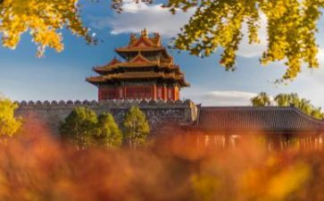 《故宫博物院》教案8篇
