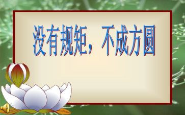 规矩与爱心得8篇