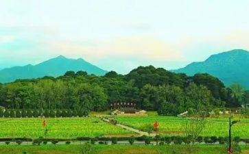 2023古田军号观后感8篇