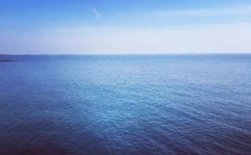 《海狼》读后感6篇