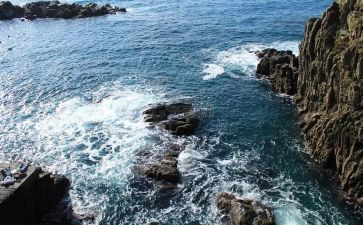 在上海观后感5篇