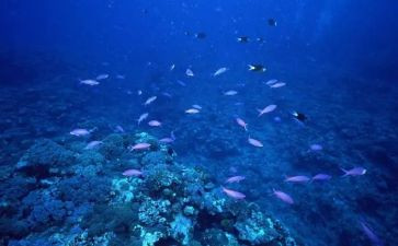 读海底两万里读后感600字优秀5篇