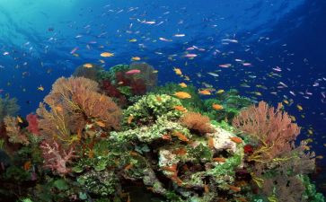 海底2万里的读后感500字5篇