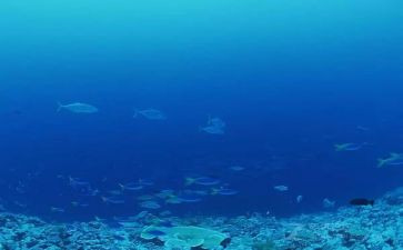 海底两万里300字读后感6篇