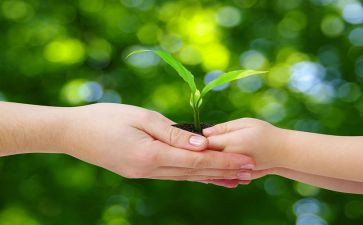 呵护眼睛,预防近视班会教案5篇