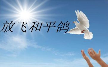 长和平读后感6篇