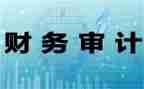 核算办工作总结6篇