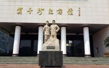 贺子珍心得体会最新7篇