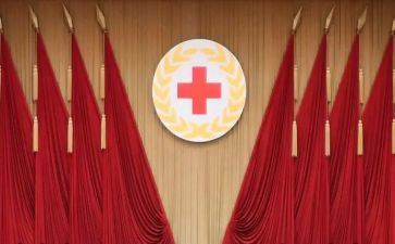 县红十字会工作总结7篇