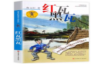 红瓦黑瓦的读后感8篇