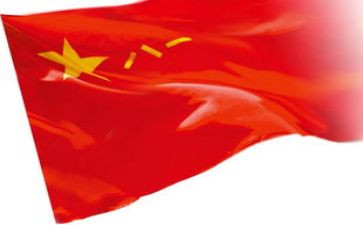红星杨的观后感400字5篇