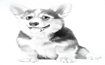 小学语文《画》教案通用5篇