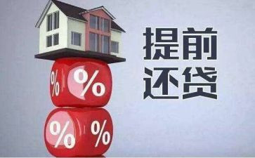 提前还货申请书5篇