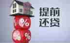 提前还货申请书5篇